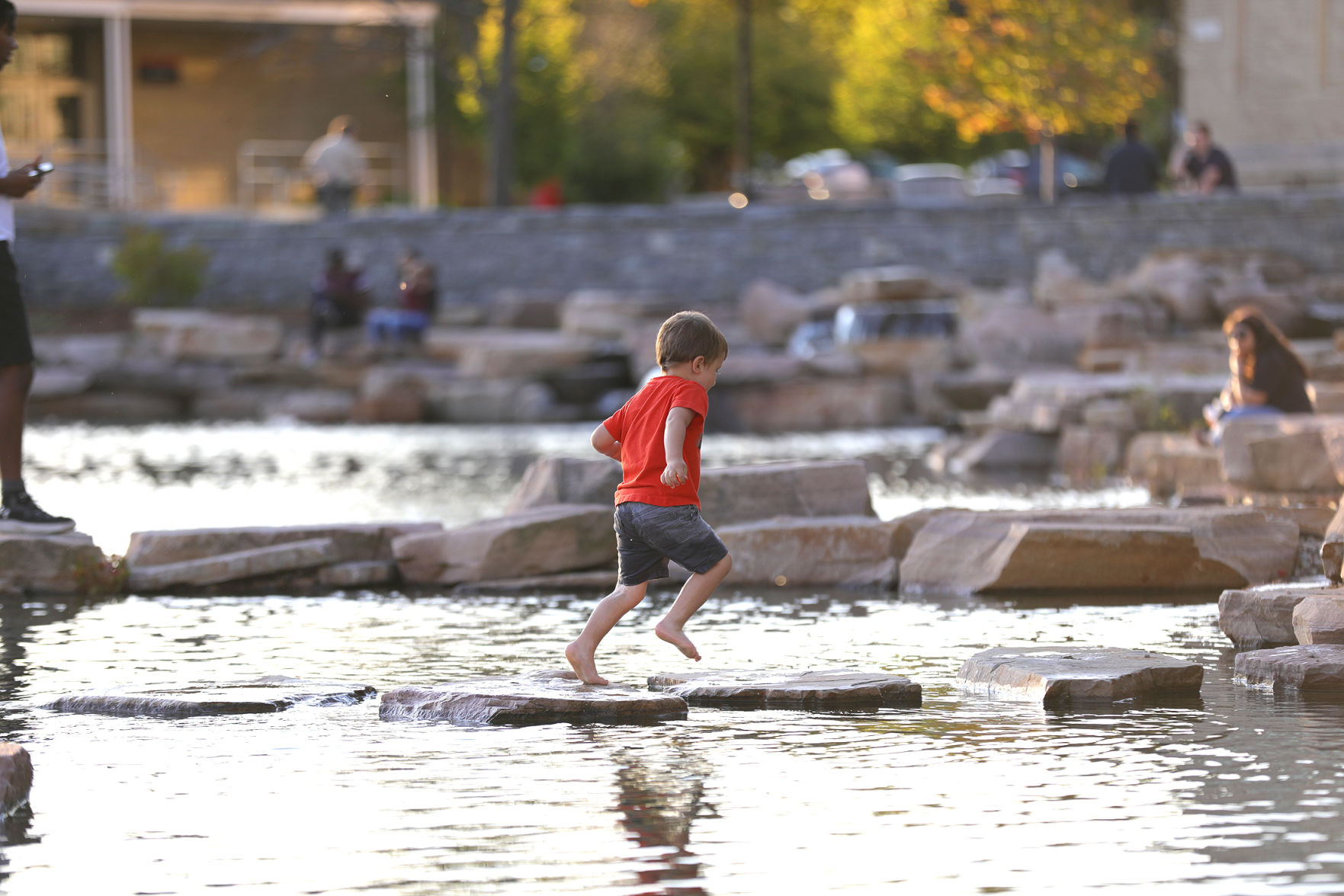 Pond Hopping